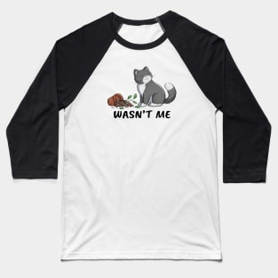 Cat With Broken Flower Pot Baseball T-Shirt